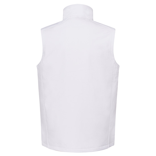 SOFTVEST_D_1.JPG